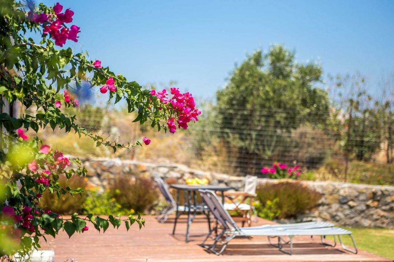 קלטוס Villa Helios מראה חיצוני תמונה